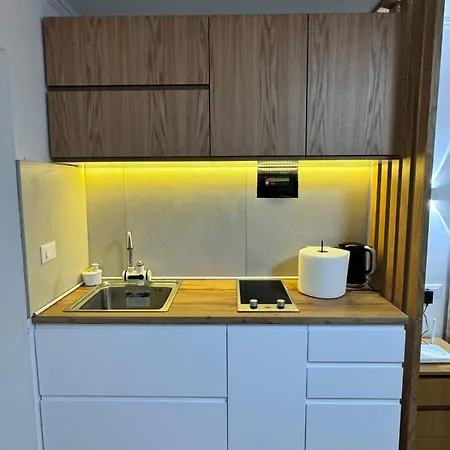 Eco Luxury Living Apartment